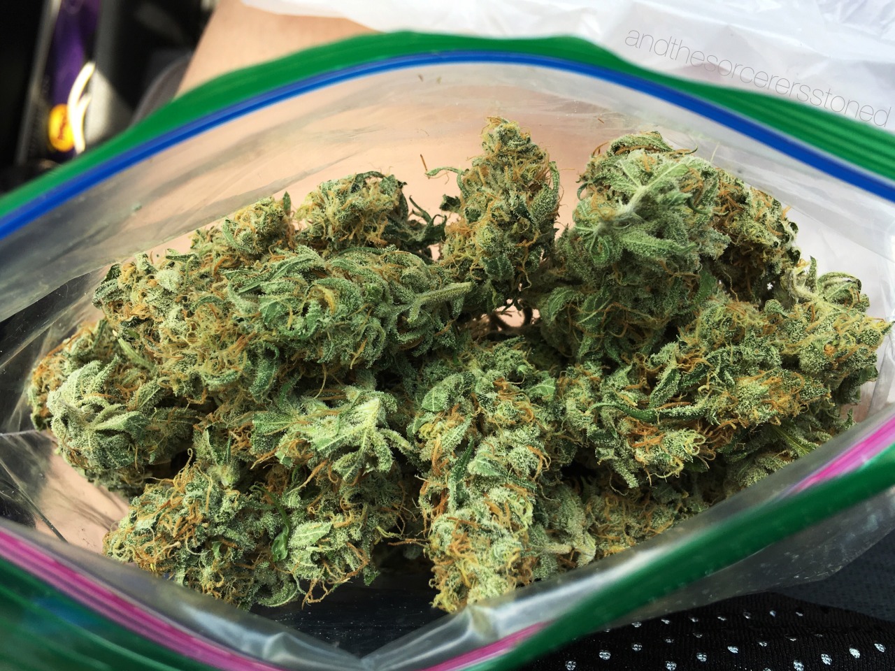 andthesorcerersstoned:  This bud is almost too pretty to smoke, almost. I’m gonna