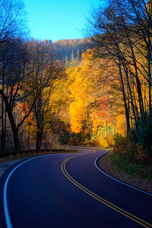 plasmatics:  Road To The Colors by Nathan Firebaugh (Website) 