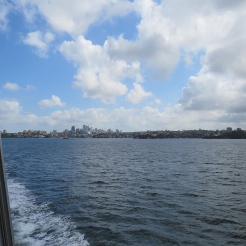 A set of photos taken on Sydney Harbour while on the Manly Ferry. #manlyferry #sydneyharbour #northh