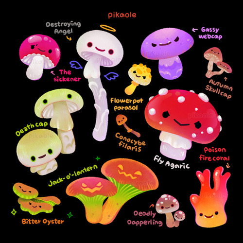 Mushroom