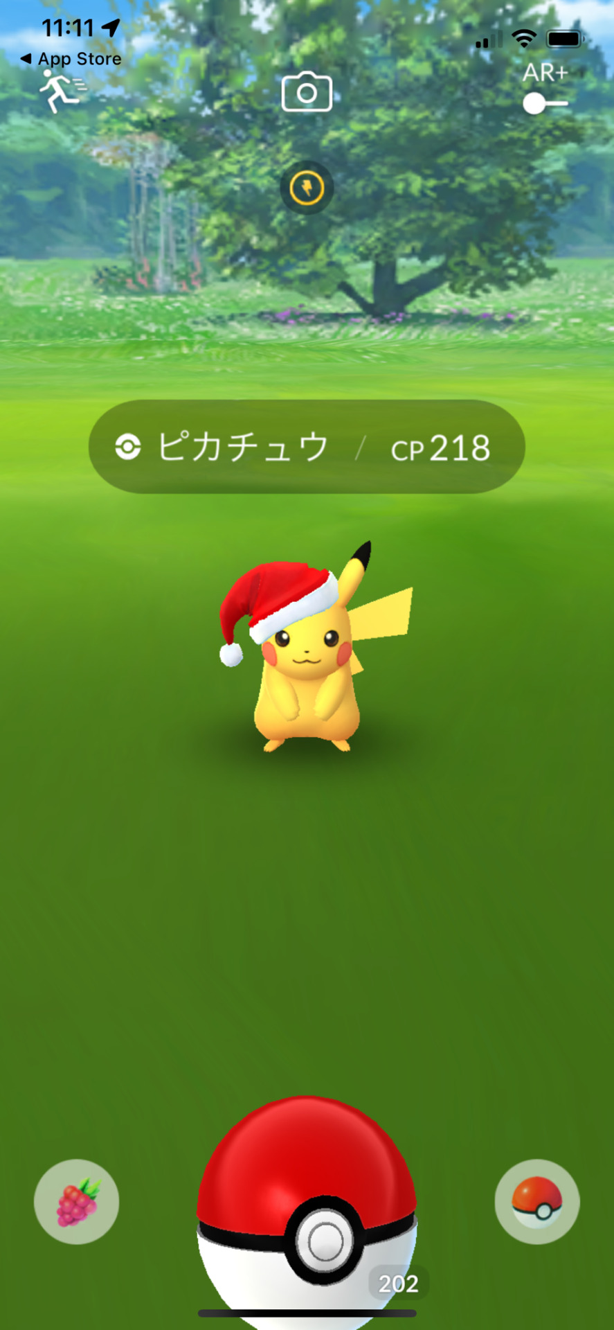 タマザラシ Explore Tumblr Posts And Blogs Tumgir