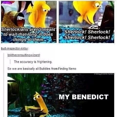 johnlock-is-my-spirit-animal:  Me