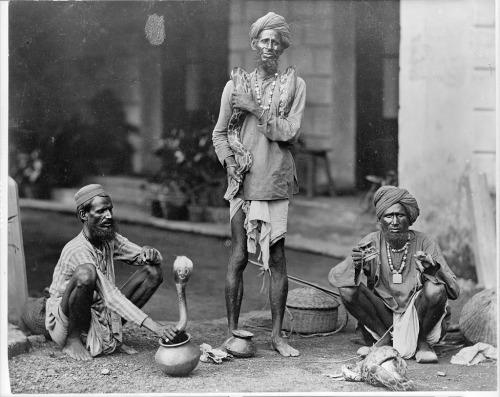 India snake charmers. Ca. 1890.