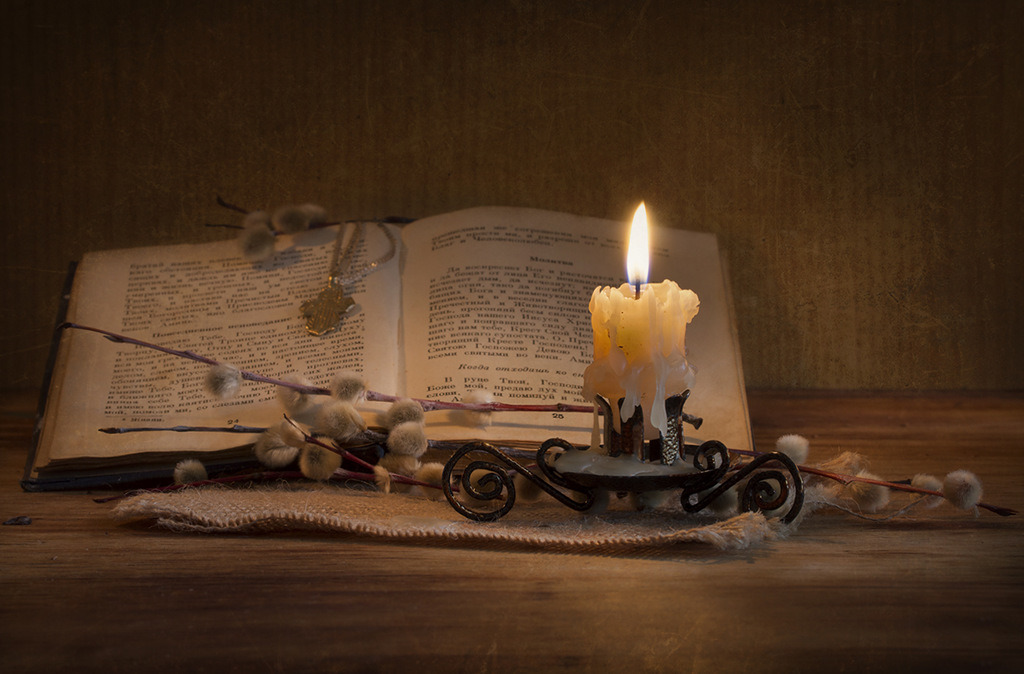 Oh&hellip; books&hellip; “Obscenity only comes in when the mind despises