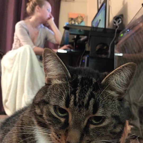 Tumblr media