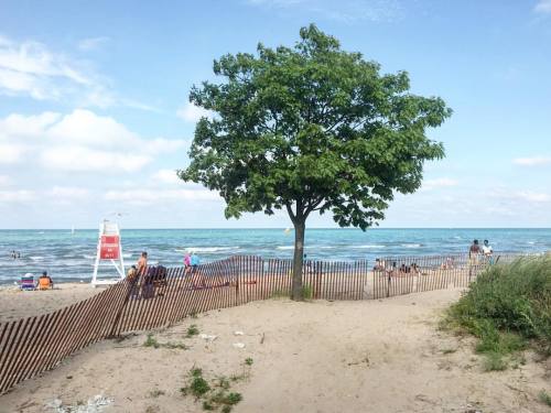 Lake Michigan, Evanston, IL.