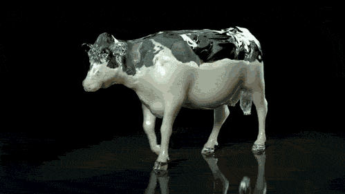 ANATOMIKA :. We are mamals.