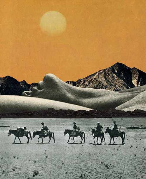 Los Caballeros by Sammy Slabbinck on Flickr.