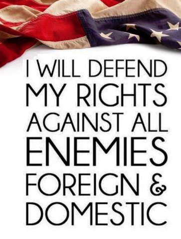 redbullnoir:  gunrights4ever:  SHARE if you will too…   Yes!!