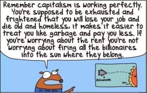 hexalt:glozirina:[ID: cartoon of an animal saying, “Remember capitalism is working perfectly. You’re supposed to be exhausted and frightened that you will lose your job and die old and homeless, it makes it easier to treat you like garbage and pay