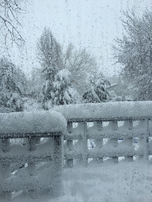 scumbugg: adamthelionking: It was 70*F yesterday.  What kind of hell are you in why is there snow
