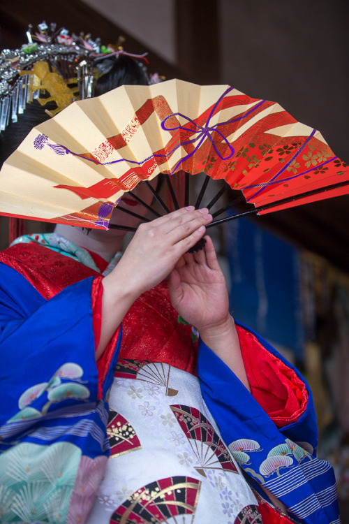 Aoi Taiyu celebrating sakura at Bishamon-dō Temple, by Prado(I am so grateful for those photos. Cour