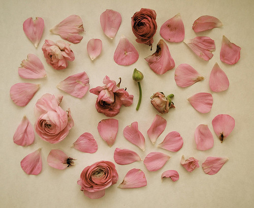 thunder:    via weheartit  