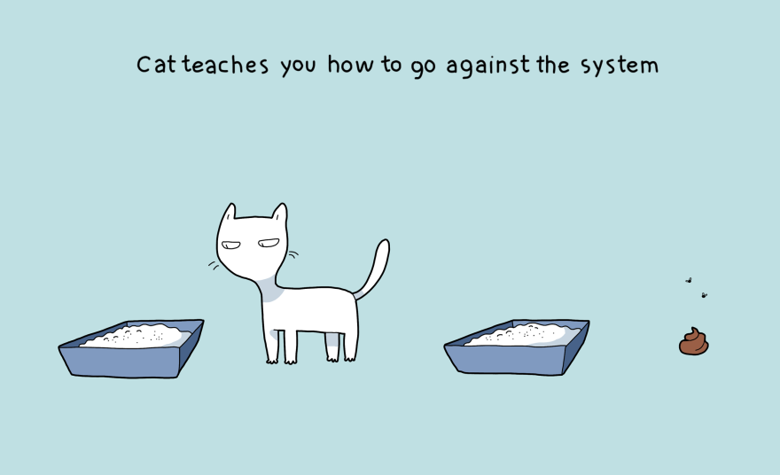 boredpanda:    10 Benefits Of Having A Cat  