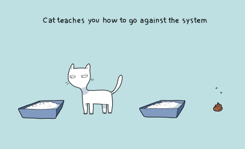 boredpanda:    10 Benefits Of Having A Cat  