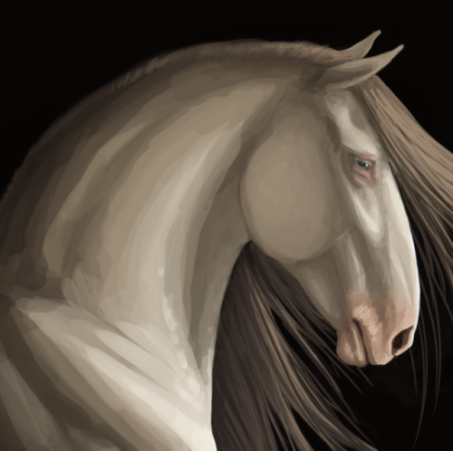 ever dreamed of getting a free sketch of your horse?i need to practice likeness so i’m taking a coup
