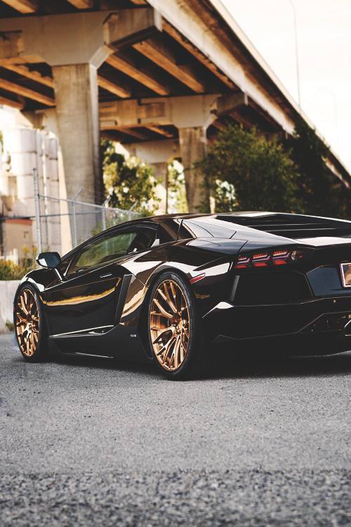 90skiddsolotoowild:  http://90skiddsolotoowild.tumblr.com/