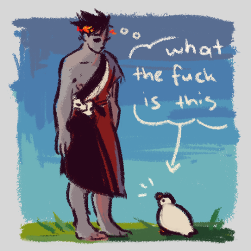 hexaes:zagreus doesn’t know what ducks are and this distresses me greatly