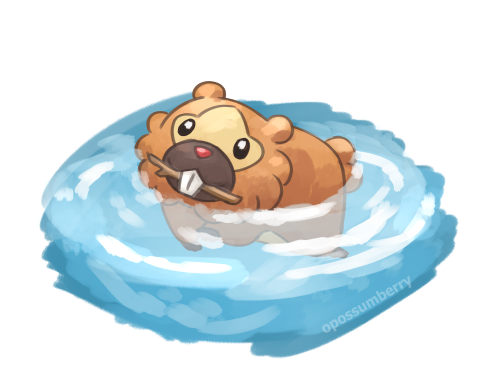 bidoof