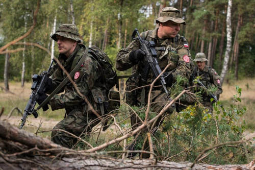 XXX militaryarmament:  Polish Paratroopers from photo