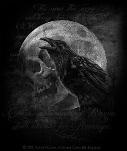 gothdolly:  Raven’s Curse