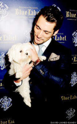 david-james-gandy:  David & Dogs  *Swoon*