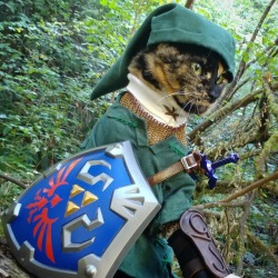 cat-cosplay:  When diplomacy with the Dark Lord fails… Link can always Triforce.