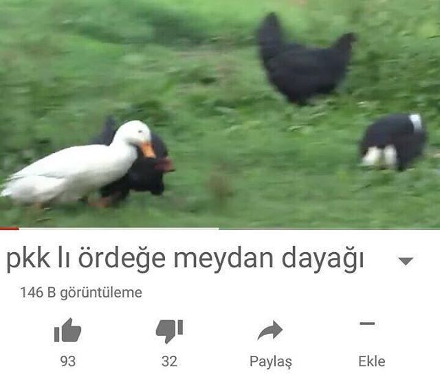 PKK lı ördeğe meydan dayağı