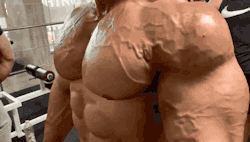 fluidflex:muslguys:10/10 pec ripple. 