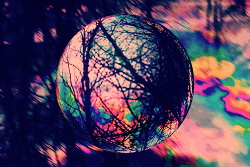 where is my mind?﻿
