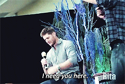 j2madhatters:Abandonment issues - ♣,♠ - It’s okay Jensen. He won’t leave you.