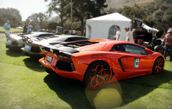 automotivated:  Aventadors (by BottleofJo)