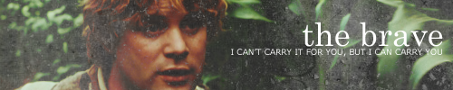 ifyoudontlovelotryourewrong:  The Fellowship of the Ring 
