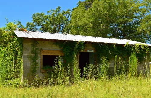 An abandoned building in a neighborhood near Montgomery, Louisiana.   