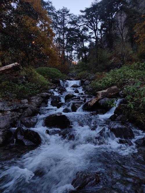 oneshotolive:  [6000×8000] [OC] Langtang