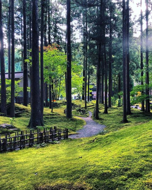 苔の里・叡智の杜 Hiyou Koke-no-Sato Moss Garden (Forest of Wisdom), Komatsu, Ishikawa ーー小さな里山集落で育まれ続けてきた、一面の