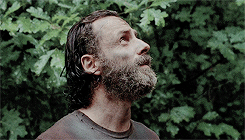 empressmcbride:  GIF Request Meme → TWD + Profiles (requested by @monasax) 