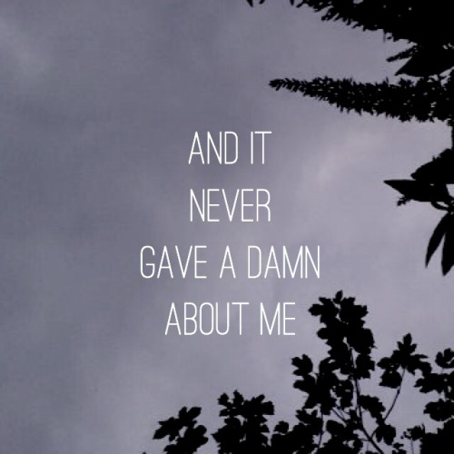 Panic! At The Disco &mdash; Do You Know What I&rsquo;m Seeing?Submit Requests