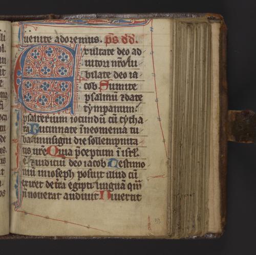 Check out these puzzle initials from a late 14th century breviary possibly illuminated in Germany, M