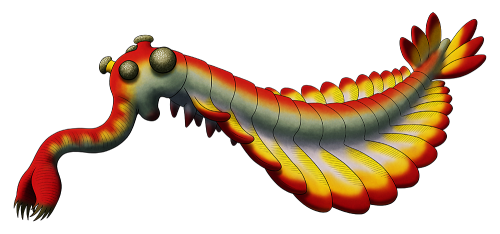 Nix Draws Stuff — Weird Heads Month #26: Curious Cambrian Creatures...