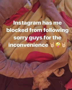 #cantfollowback #instagramjail #blockedfromfollowing  https://www.instagram.com/p/Bubj8hIFfHP/?utm_source=ig_tumblr_share&amp;igshid=1s557y5zxc6av