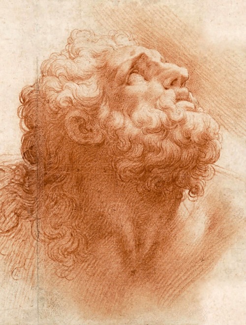   Head of a Man after the Laocoon. 1580-1600. Cristofani Roncalli. Italian 1552-1626. red chalk on paper.  
