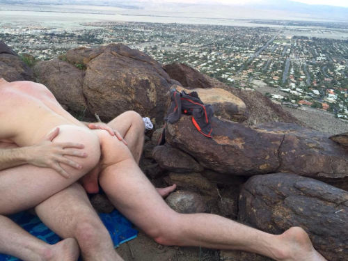 thefaggotbrigade:  Dans la nature…