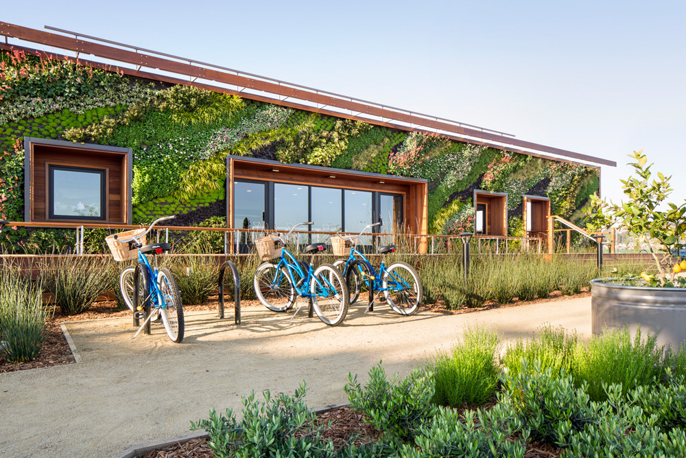 wglandscape:  Bay Meadows Welcome Center. Living wall by Habitat Horticulture. source
