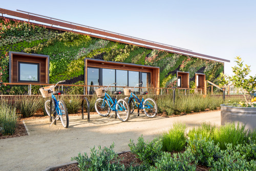 wglandscape:  Bay Meadows Welcome Center. Living wall by Habitat Horticulture. source 