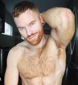 reds-and-gingers: http://reds-and-gingers.tumblr.com