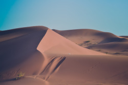 mediterraneum:  Red Sands, Riyadh, Saudi