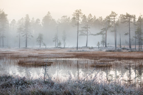 tiinatormanenphotography:First frosty morning for this autumn.  :) 29th Sep 2015, Southern