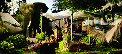 mr-incredibles:  Katy Perry - Roar (x)  