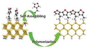 New route to molecular wires suitable for use in miniature electronicsConsumer demand continually pu